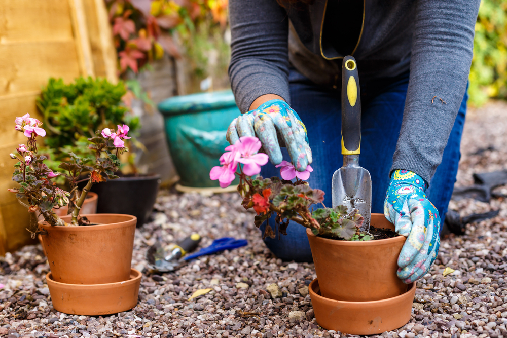 Time Saving Gardening Hacks For National Gardening Week JParkers